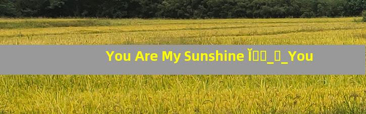 You Are My Sunshine ĬӰӢ_ӱ_You Are My Sunshine ĬӰӢ